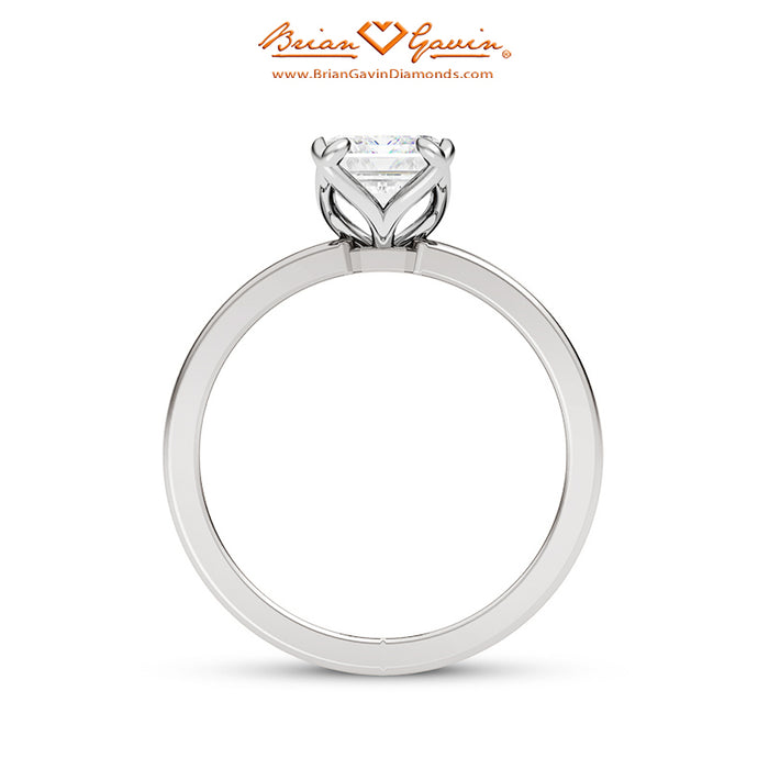 18K White Gold, Platinum