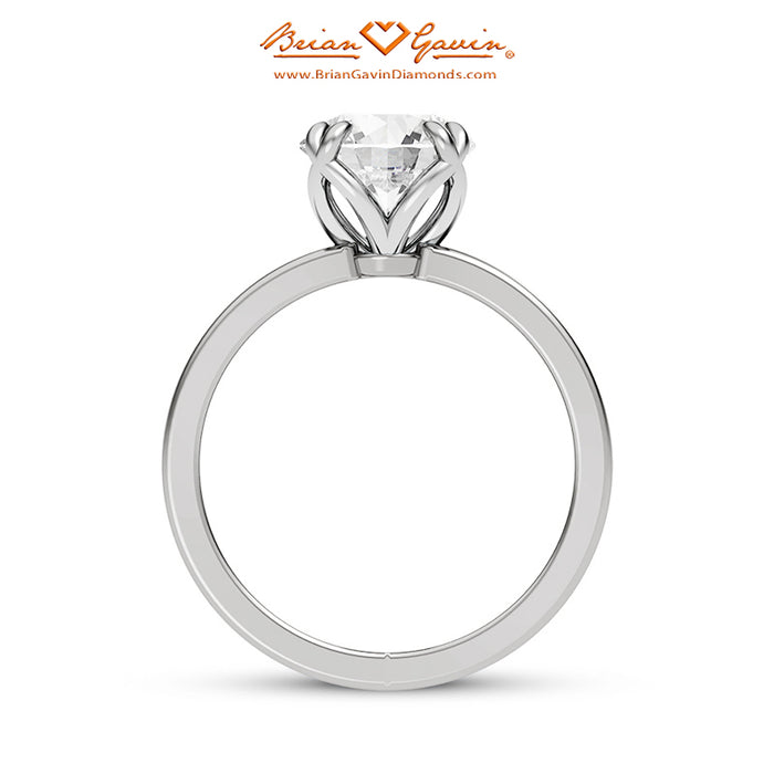 18K White Gold, Platinum