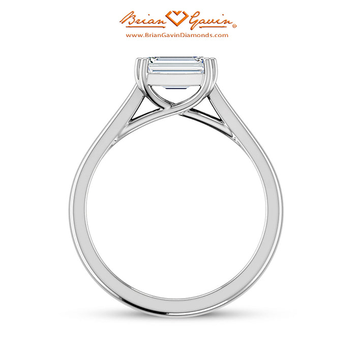 18K White Gold, Platinum