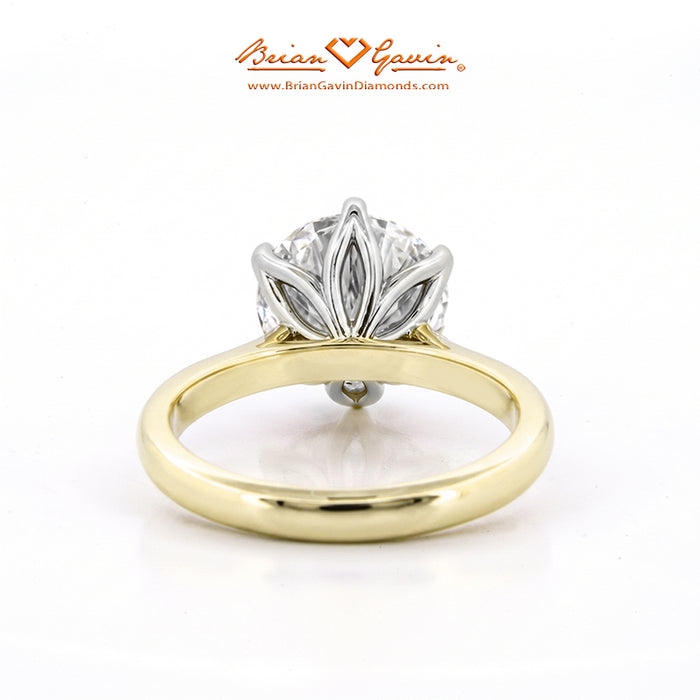 18K Yellow Gold