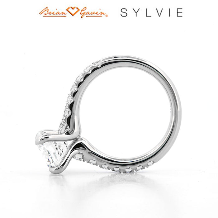 Platinum, 14K White Gold, 18K White Gold
