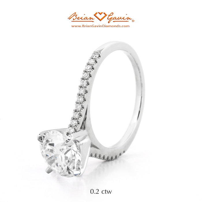 14K White Gold
