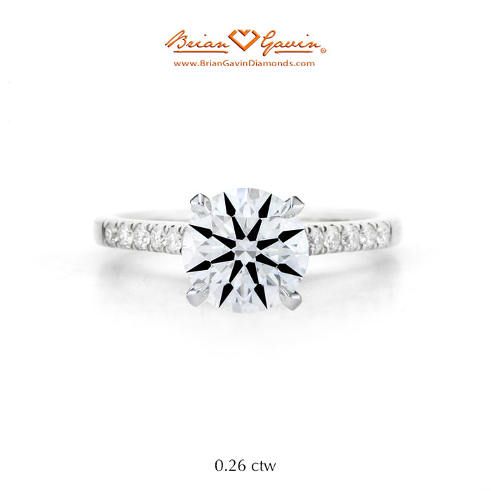 14K White Gold