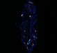 2.05ct Oval H VVS2 Natural Diamond fluorescence image