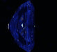 2.01ct CM H VS1 Natural Diamond fluorescence image