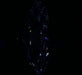 2.01ct Oval G VS1 Natural Diamond fluorescence image