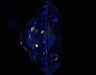 2.72ct Round F VS2 Natural Diamond fluorescence image