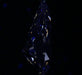 2.01ct Pear H VS1 Natural Diamond fluorescence image