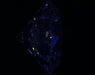 2.03ct Round H VS1 Natural Diamond fluorescence image