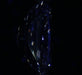 2.50ct Radiant E VS1 Natural Diamond fluorescence image