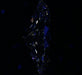 2.01ct Marquise D SI1 Natural Diamond fluorescence image