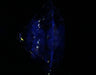 2.51ct Round J SI1 Natural Diamond fluorescence image