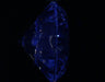 3.01ct Round F VS2 Natural Diamond fluorescence image