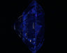 2.51ct Round F VS1 Natural Diamond fluorescence image